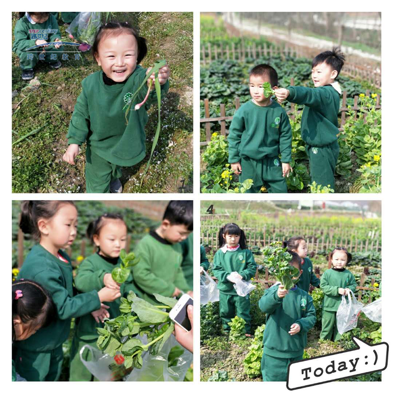 湖北南漳跨世紀(jì)幼兒園：幼兒園春季社會(huì)化主題活動(dòng)—“尋找春天的足跡”