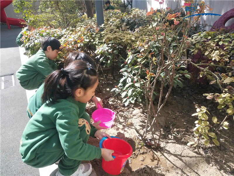 幼兒感恩心的培養(yǎng)，從愛護(hù)環(huán)境開始