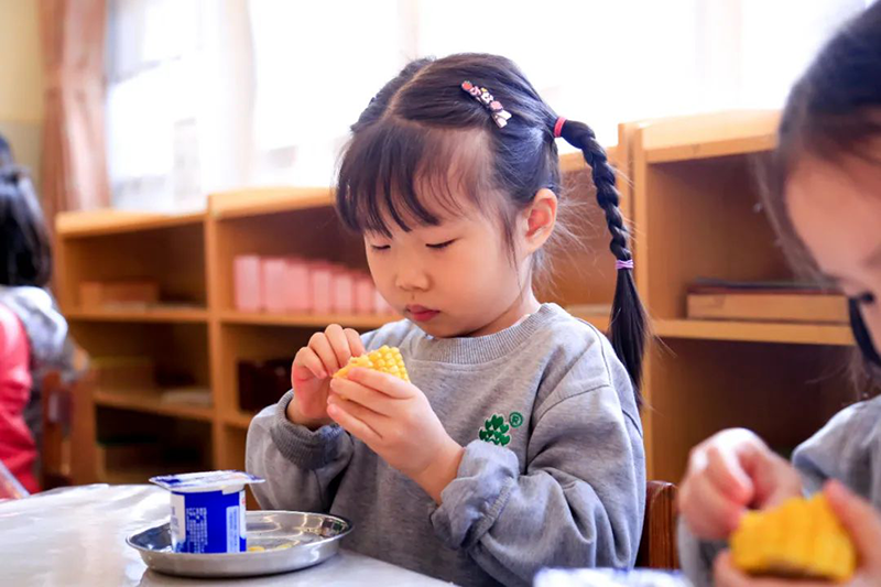 跨世紀(jì)蒙氏教育：孩子不好好吃飯，幼兒園老師應(yīng)該怎么做？