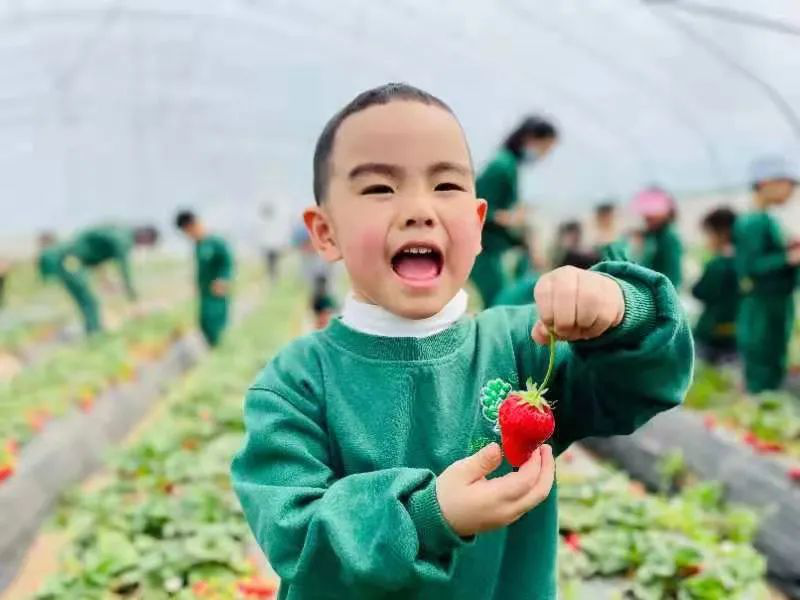 跨世紀(jì)教育幼兒園春游必看：孩子去哪了？