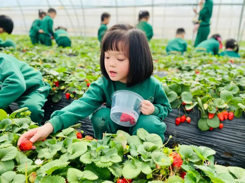 怎樣招聘，才能招到優(yōu)秀的幼兒園老師？